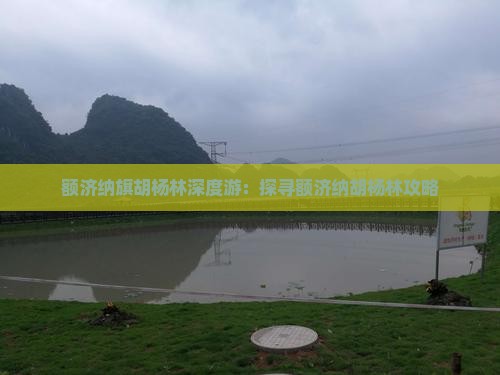 额济纳旗胡杨林深度游：探寻额济纳胡杨林攻略