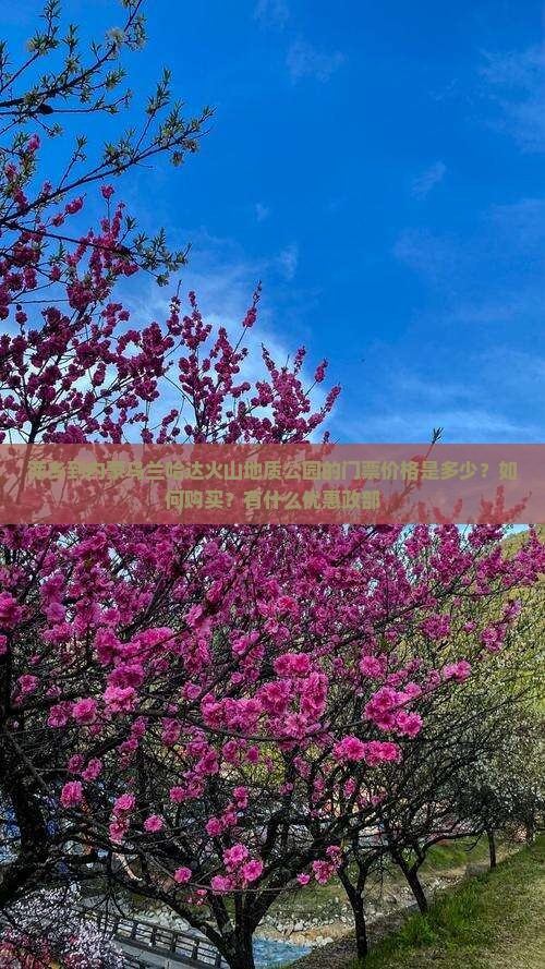 萍乡到内蒙乌兰哈达火山地质公园的门票价格是多少？如何购买？有什么优惠政部