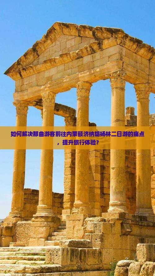如何解决那曲游客前往内蒙额济纳胡杨林二日游的痛点，提升旅行体验？