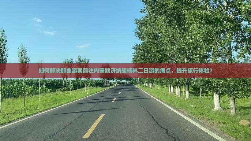 如何解决那曲游客前往内蒙额济纳胡杨林二日游的痛点，提升旅行体验？