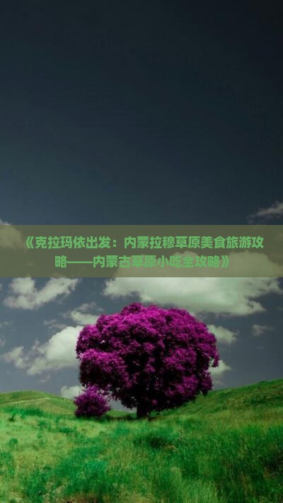 《克拉玛依出发：内蒙拉穆草原美食旅游攻略——内蒙古草原小吃全攻略》