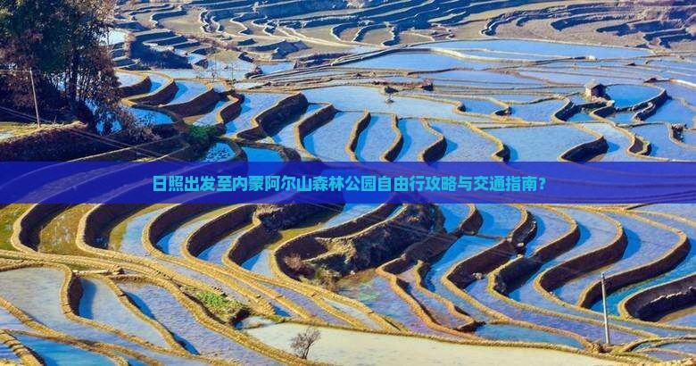 日照出发至内蒙阿尔山森林公园自由行攻略与交通指南？