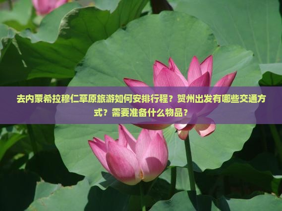 去内蒙希拉穆仁草原旅游如何安排行程？贺州出发有哪些交通方式？需要准备什么物品？