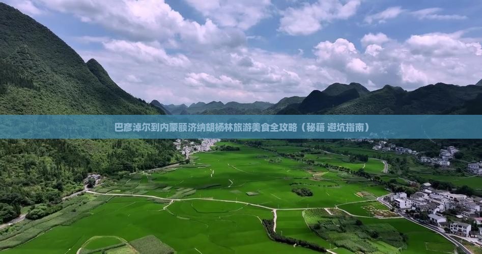 巴彦淖尔去内蒙额济纳胡杨林旅游小吃