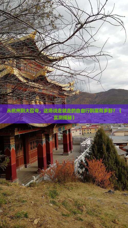 阿里到内蒙大召寺自由行