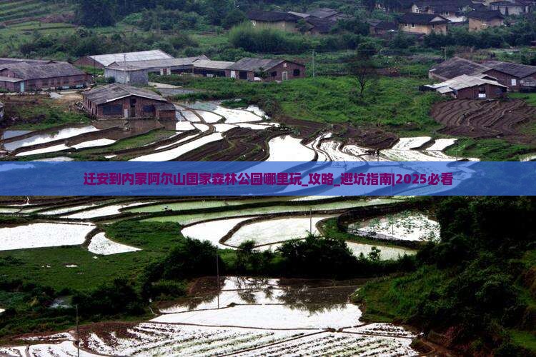 迁安到内蒙阿尔山国家森林公园哪里玩