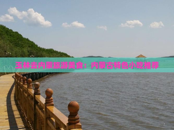 玉林去内蒙旅游小吃