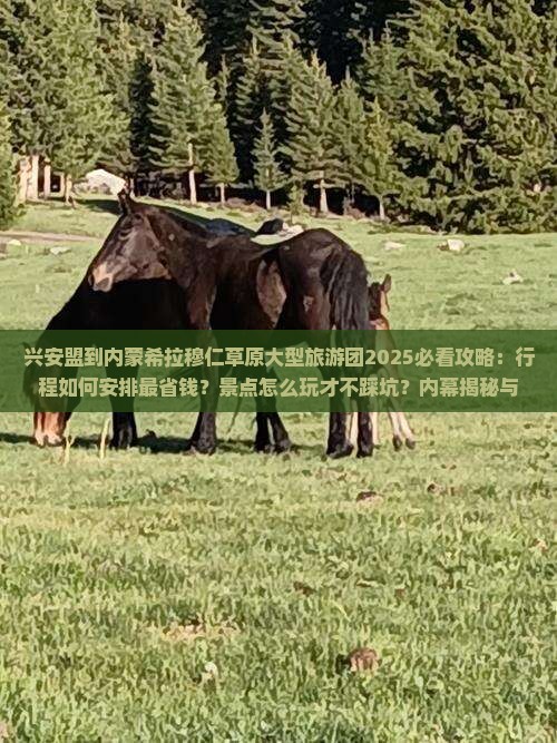 兴安盟到内蒙希拉穆仁草原大型旅游团