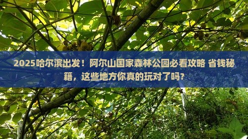 哈尔滨到内蒙阿尔山国家森林公园哪里玩