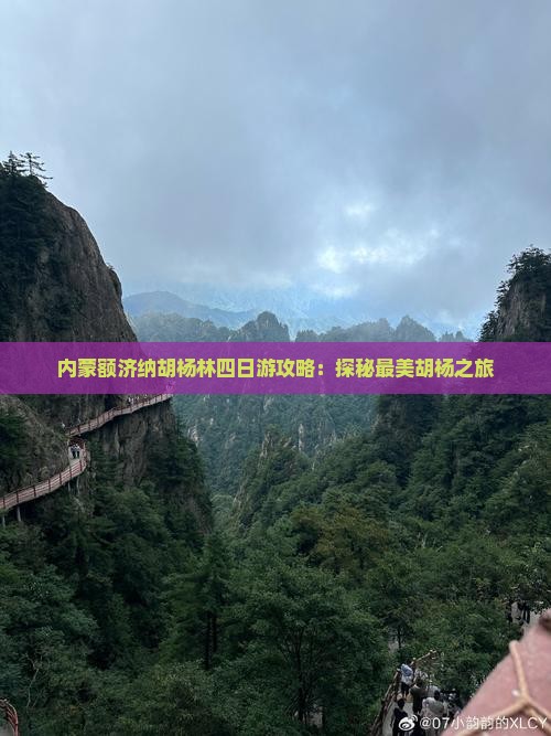 平顶山去内蒙额济纳胡杨林四日游