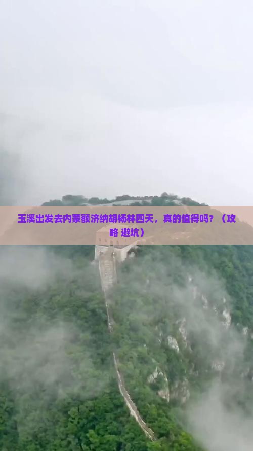 玉溪到内蒙额济纳胡杨林四日游