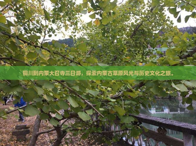 铜川到内蒙大召寺三日游