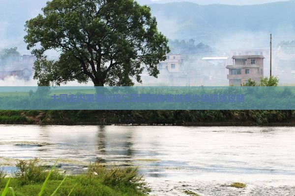 大同去内蒙希拉穆仁草原团体旅游