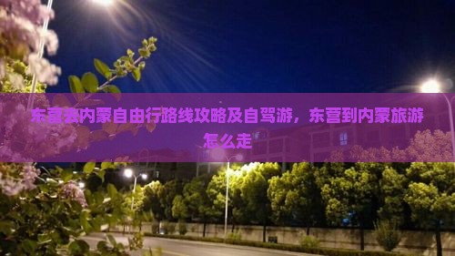 东营去内蒙自由行