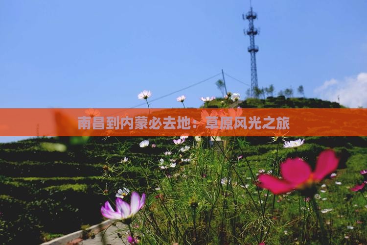 南昌到内蒙必去地