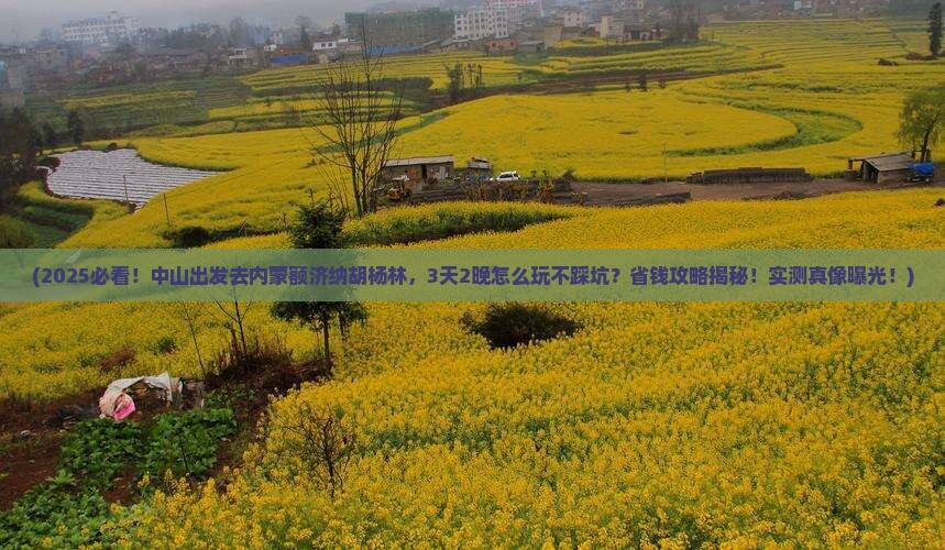 中山到内蒙额济纳胡杨林旅行社 中山到内蒙额济纳胡杨林旅行社