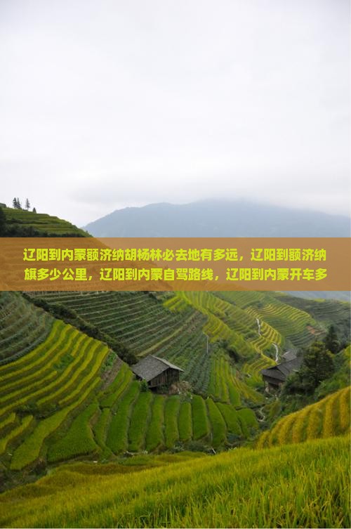 辽阳到内蒙额济纳胡杨林必去地