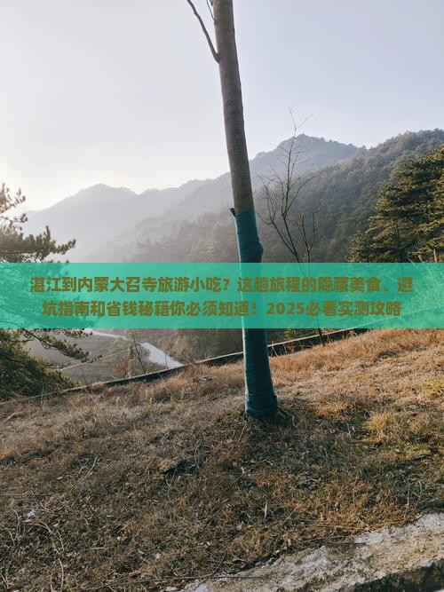 湛江到内蒙大召寺旅游小吃