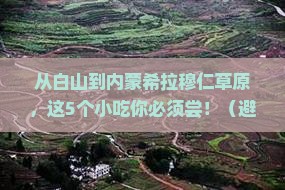 白山去内蒙希拉穆仁草原旅游小吃