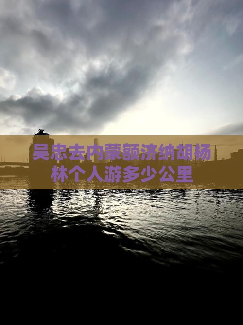 吴忠去内蒙额济纳胡杨林个人游