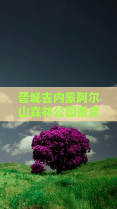晋城去内蒙阿尔山国家森林公园景点