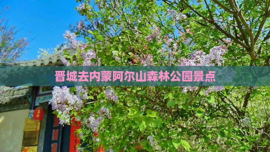 晋城去内蒙阿尔山国家森林公园景点
