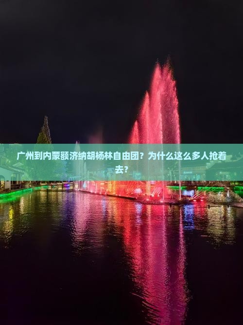广州到内蒙额济纳胡杨林自由团