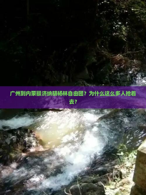 广州到内蒙额济纳胡杨林自由团