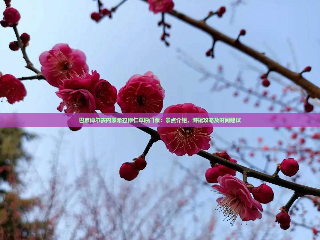 巴彦倬尔去内蒙希拉穆仁草原门票