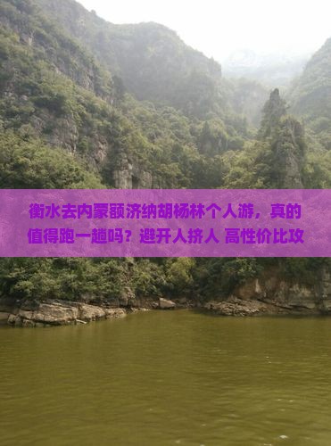 衡水去内蒙额济纳胡杨林个人游