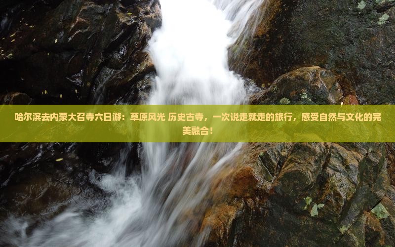 哈尔滨去内蒙大召寺六日游