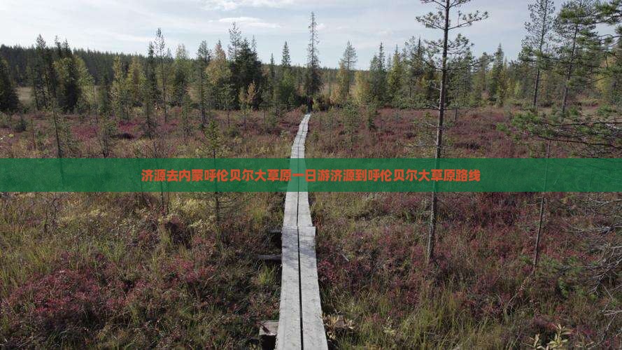 济源去内蒙呼伦贝尔大草原一日游