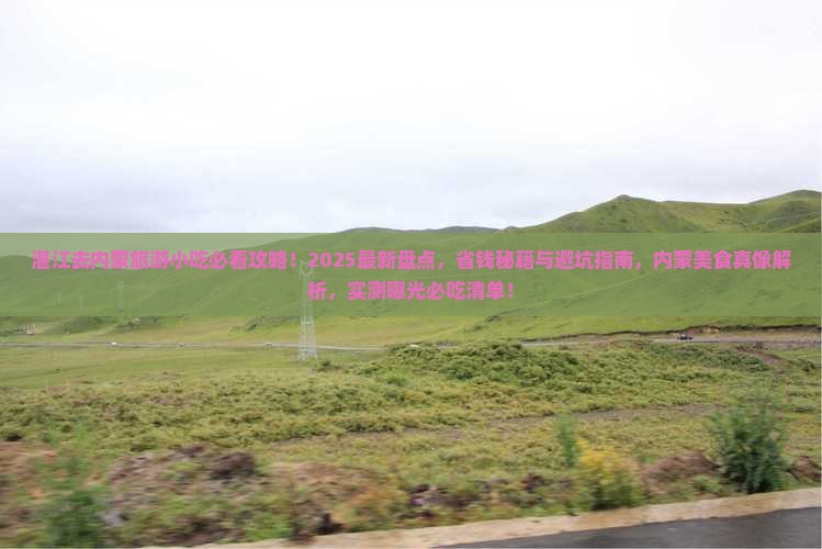湛江去内蒙旅游小吃