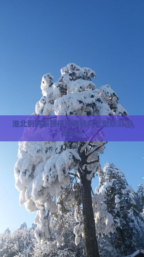 淮北到内蒙额济纳胡杨林大型旅游团