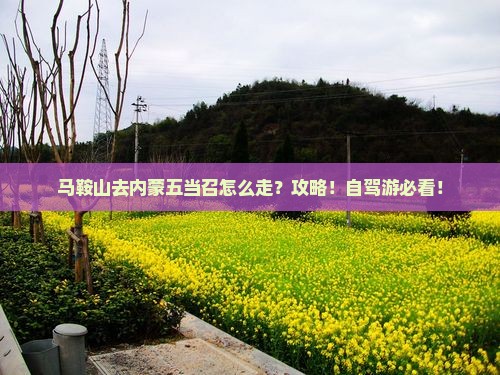 马鞍山去内蒙五当召攻略
