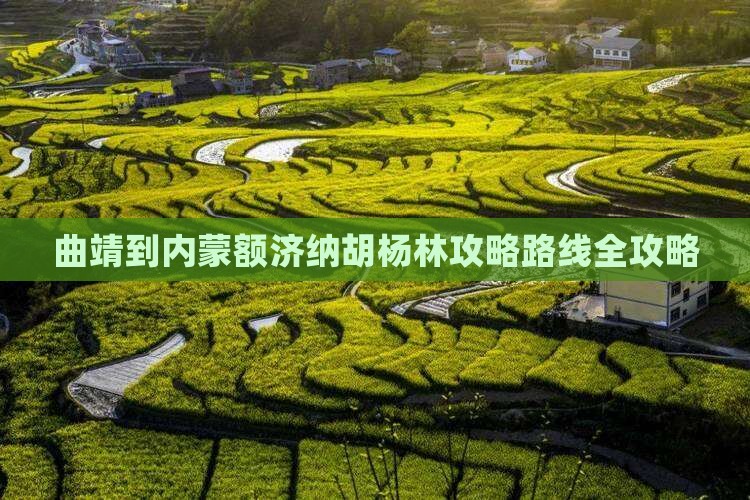 曲靖到内蒙额济纳胡杨林攻略