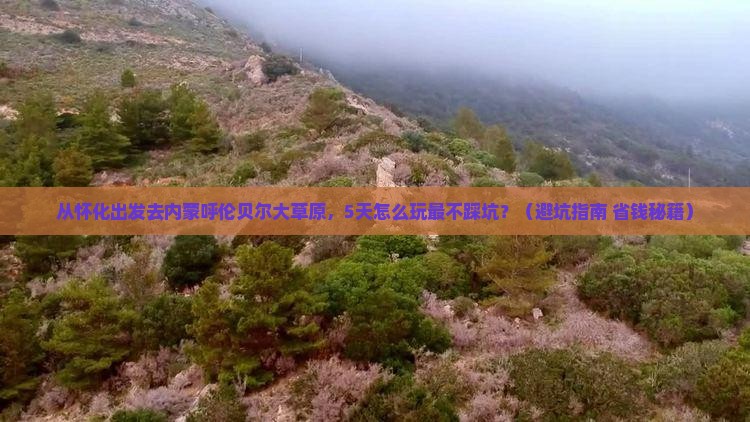 怀化去内蒙呼伦贝尔大草原旅游