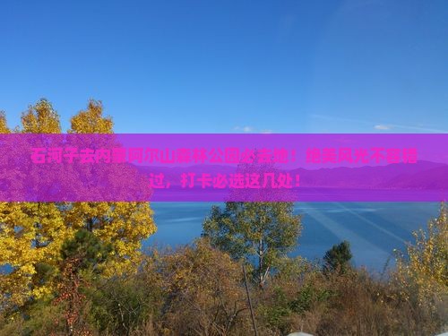 石河子去内蒙阿尔山国家森林公园必去地