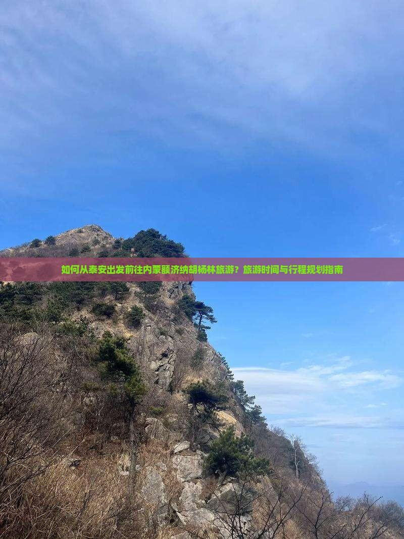 如何从泰安出发前往内蒙额济纳胡杨林旅游？旅游时间与行程规划指南