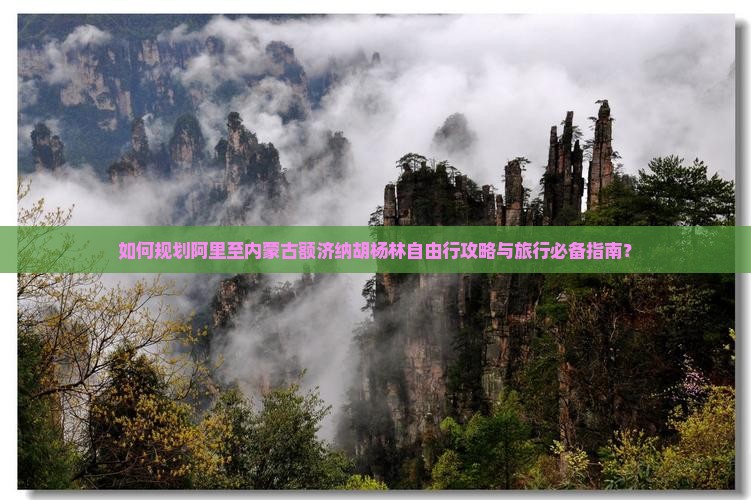 如何规划阿里至内蒙古额济纳胡杨林自由行攻略与旅行必备指南？