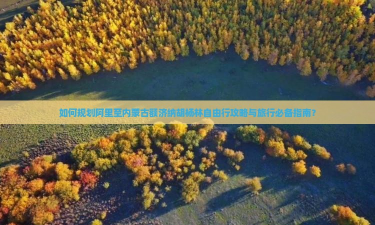 如何规划阿里至内蒙古额济纳胡杨林自由行攻略与旅行必备指南？