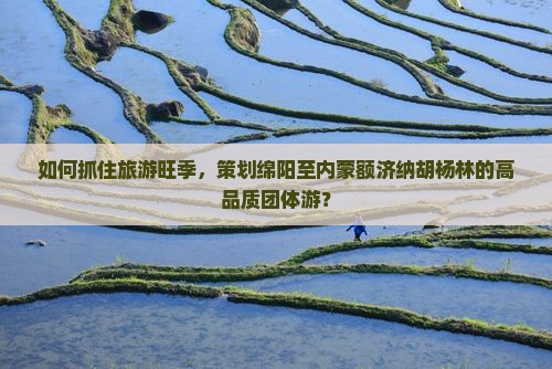 如何抓住旅游旺季，策划绵阳至内蒙额济纳胡杨林的高品质团体游？