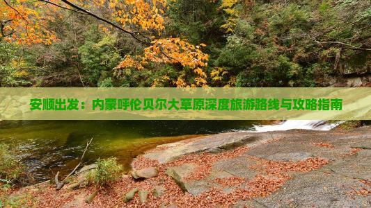 安顺出发：内蒙呼伦贝尔大草原深度旅游路线与攻略指南