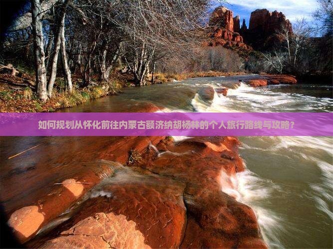 如何规划从怀化前往内蒙古额济纳胡杨林的个人旅行路线与攻略？