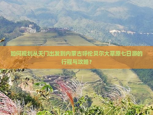 如何规划从天门出发到内蒙古呼伦贝尔大草原七日游的行程与攻略？