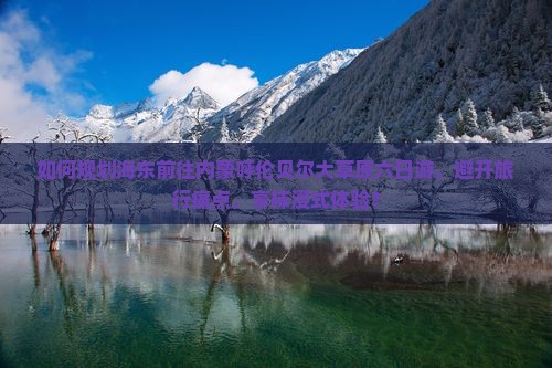 如何规划海东前往内蒙呼伦贝尔大草原六日游，避开旅行痛点，享柿浸式体验？