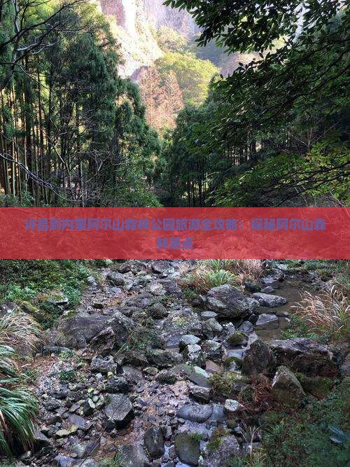 许昌到内蒙阿尔山森林公园旅游全攻略：探秘阿尔山森林景点