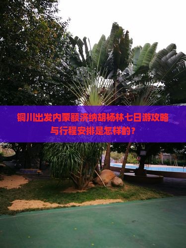 铜川出发内蒙额济纳胡杨林七日游攻略与行程安排是怎样的？