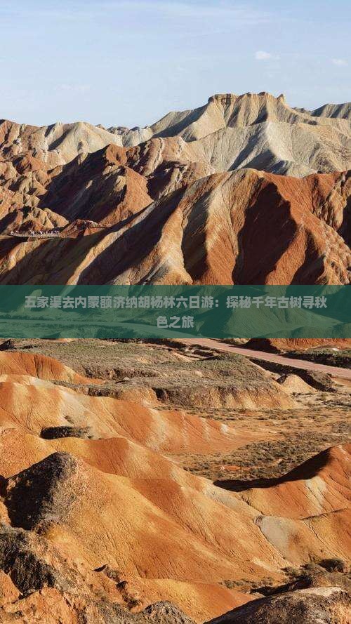 五家渠去内蒙额济纳胡杨林六日游：探秘千年古树寻秋色之旅