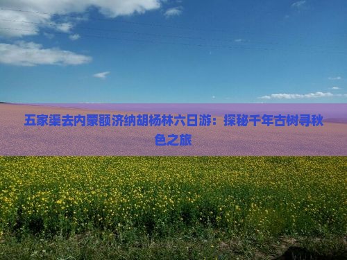 五家渠去内蒙额济纳胡杨林六日游：探秘千年古树寻秋色之旅